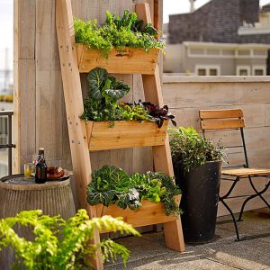 gardening
